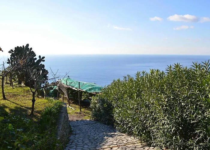 La Macera Майори